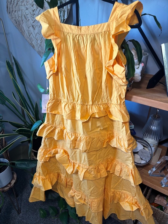 Rachel Parcell Tiered Cotton Poplin Ruffle Sleeve Midi Dress | Size 12 - Picture 6 of 6